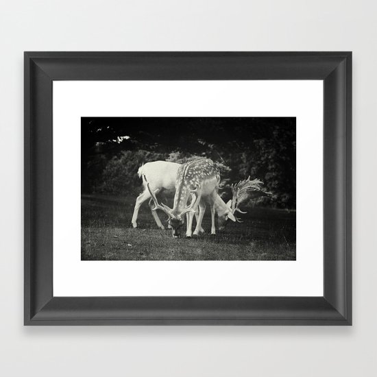 Peace Framed Art Print
