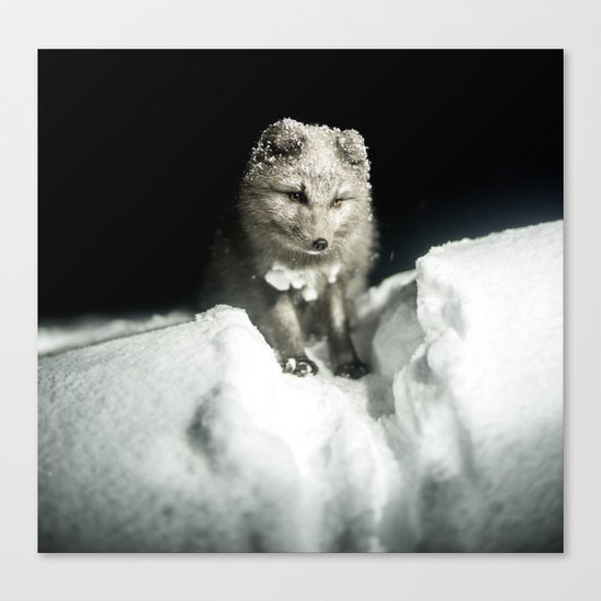 Baby wolf in the snow #animal #photography Canvas Print