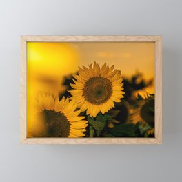 Sunflowers Framed Mini Art Print