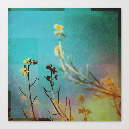 Fractions A95 Canvas Print
