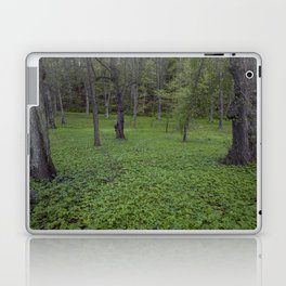 Swedish forest Laptop Skin