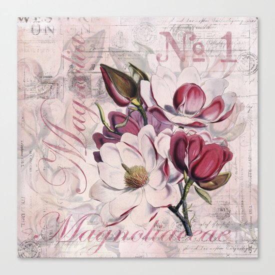 Vintage Magnolia flower illustration Canvas Print