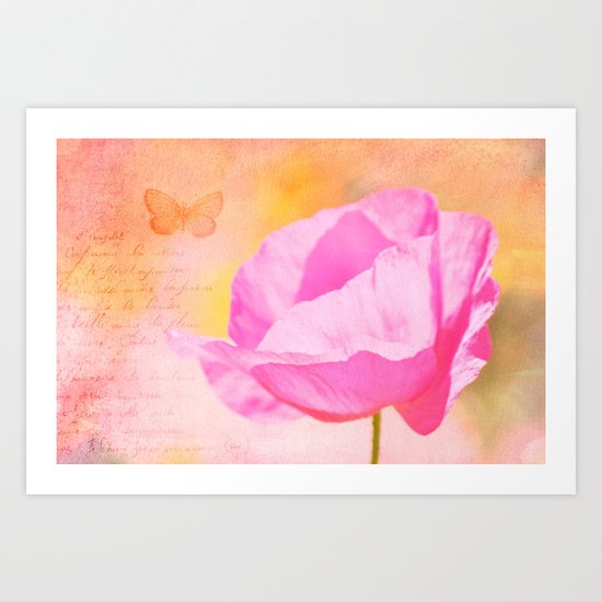 Pink Poppy Flower Art Print