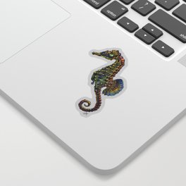 Colorful Seahorse Drawing Sticker