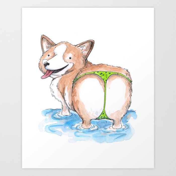 Corgi but hotsell