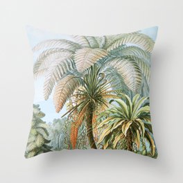 Vintage Fern and Palm Tree Art - Haeckel, 1904 Throw Pillow