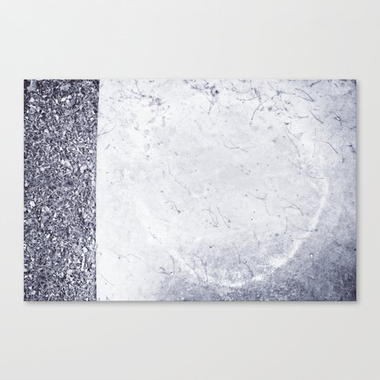 Fecundación / Conception Canvas Print