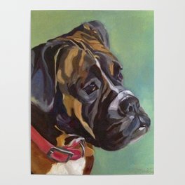 Boxer Dog Keeley Pet Portrait Poster