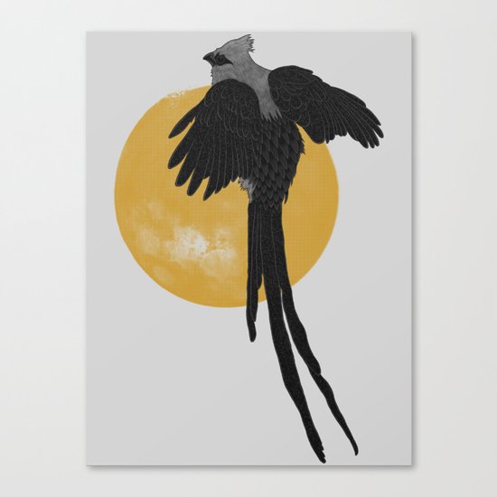 Mousebird Canvas Print