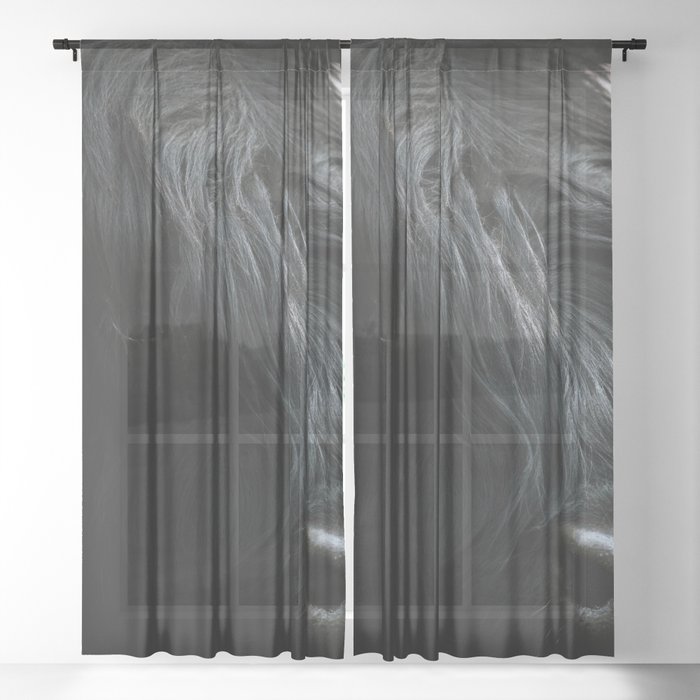 Sheer Curtain