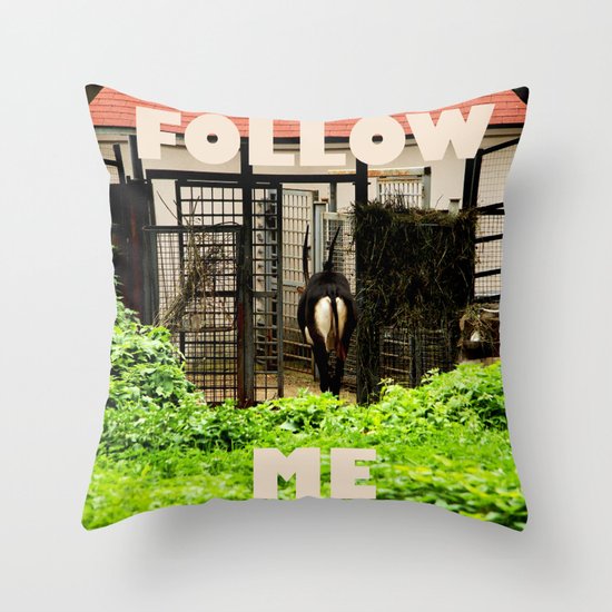 Follow me! Throw Pillow