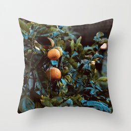 Oranges in the Courtyard Throw Pillow
