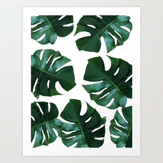 Monstera exotica Art Print