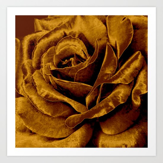 copper velvet rose Art Print