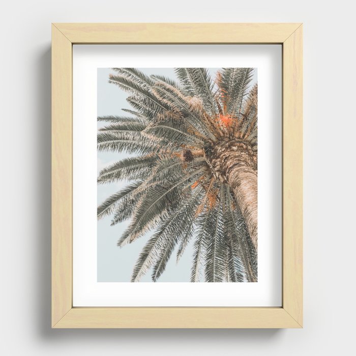 Palm tree Recessed Framed Print