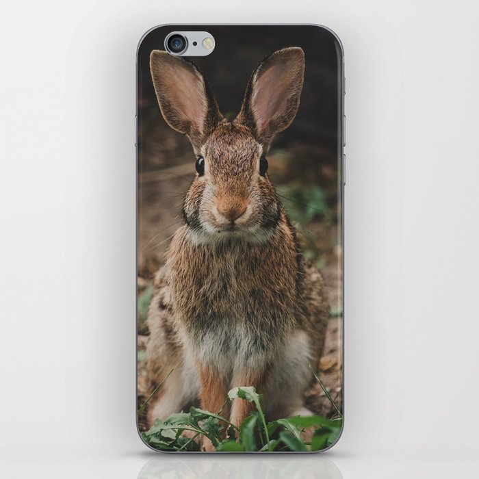 Bunny Rabbit Portrait iPhone Skin