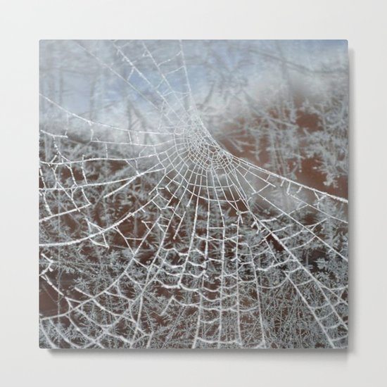 Snowed up Web Metal Print