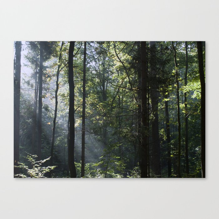 Morning Canvas Print