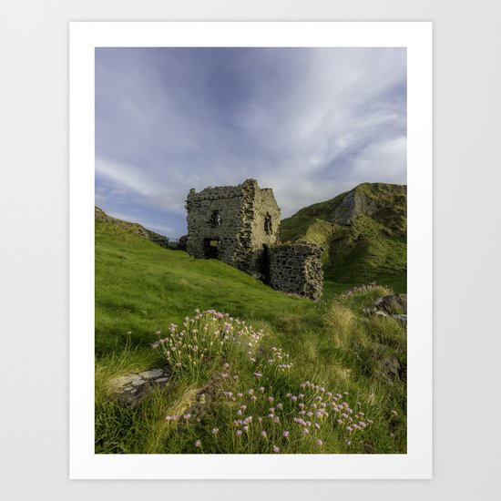 Summer flowers at Kinbane Art Print