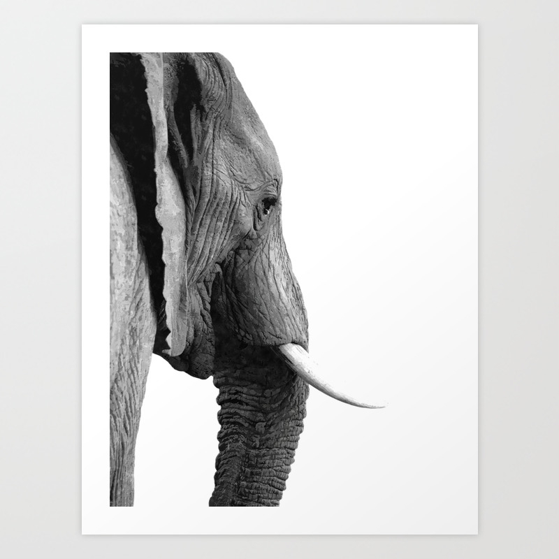 Black And White Elephant Portrait Art Print By Alemi Society6