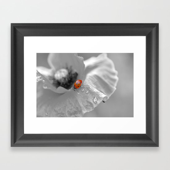 black white poppy with a red ladybug Framed Art Print