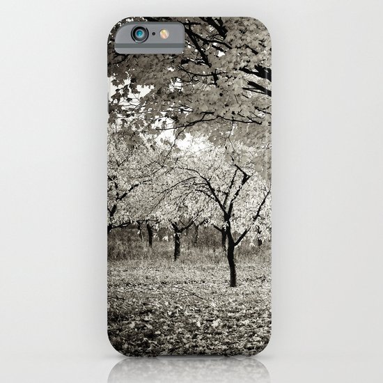 Wind and Leaves - B&W iPhone & iPod Case