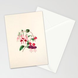  Fuchsia from "Floral Belles" by Clarissa Munger Badger, 1866 (benefitting The Nature Conservancy) Stationery Card