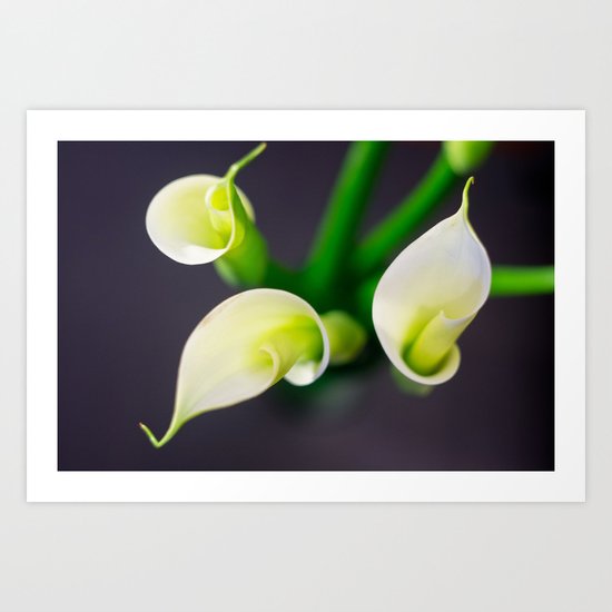 Lily Calla - three kids Art Print