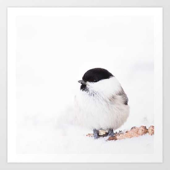 Cute Willow Tit sitting in the snow Art Print