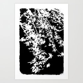 Tree photography - minimal tree - black and white - silhouette - elegant tree - Japanese nature  Art Print