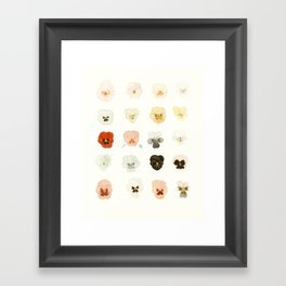 A Taxonomy of Pansies Framed Art Print