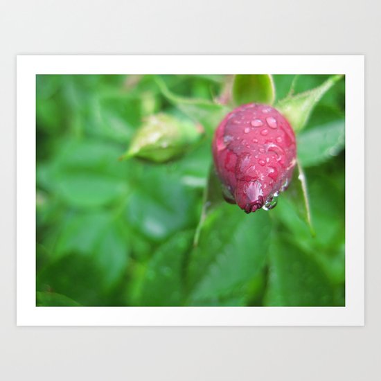 Pretty in Pink Art Print