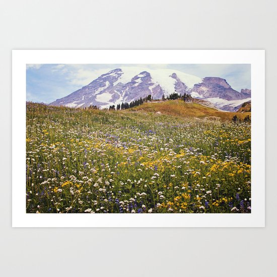 Rainier Flowers Art Print