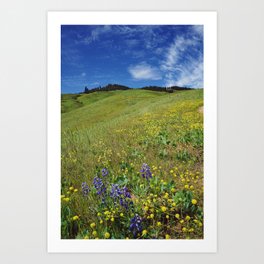 Green hills and wildflowers Art Print