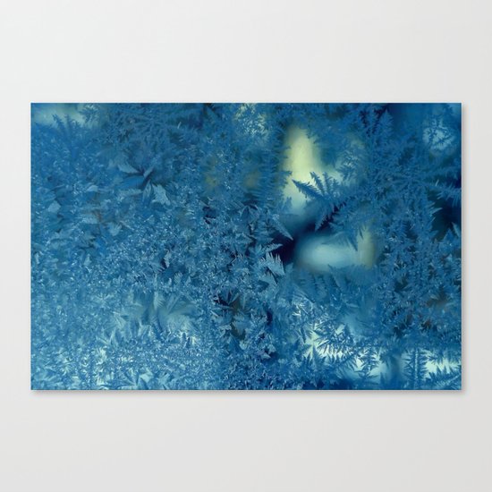 Frost patterns Canvas Print