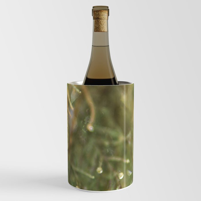 Pine Tree close up - Nature & botanical photography - Green simplistic image Wine Chiller