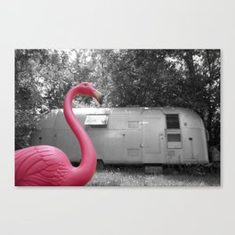 Pink Flamingo Canvas Print