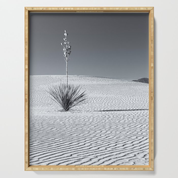Lone Yucca bw Serving Tray