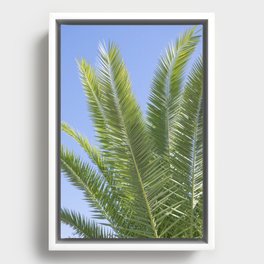 Tropical palmtree - green blue leaves mediterranean travel photography Framed Canvas