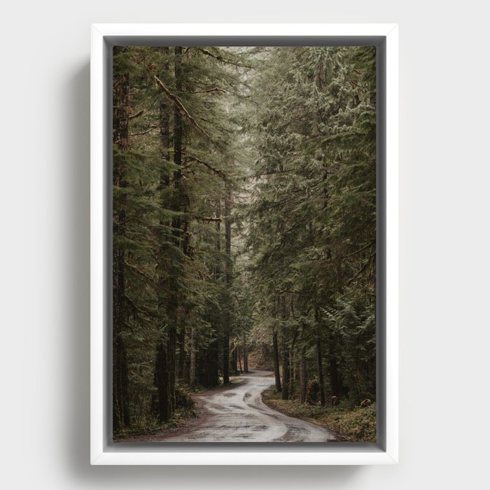 Rainforest Road Framed Canvas