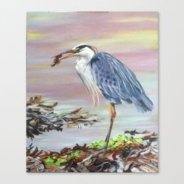Heron with fish Canvas Print