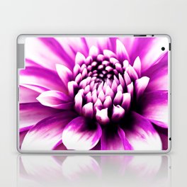 Beautiful Pink Dahlia Macro Photography Laptop Skin