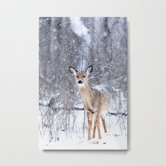 Bambi nature Metal Print