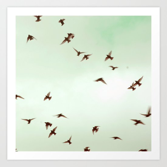 Birds Art Print