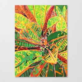 Where’s Gecko? Canvas Print | Hawaii, Painting, Crotons, Island, Leaves, Gecko, Kauai, Digital, Greenanole, Orange 
