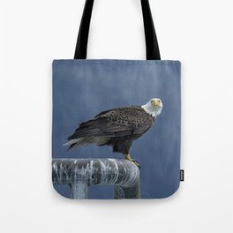 Bald Eagle of Resurrection Bay, No. 2 Tote Bag