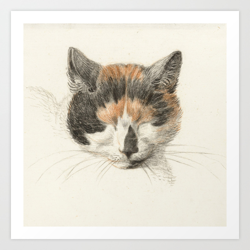 Vintage Cat Illustration Ii Art Print By Fineearthprints Society6 Vintage Cat Illustration Ii Art Print By Fineearthprints Society6