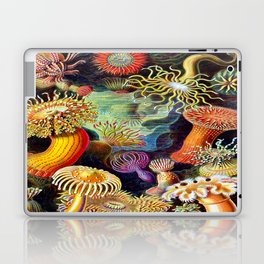 Under the Sea : Sea Anemones (Actiniae) by Ernst Haeckel Laptop Skin