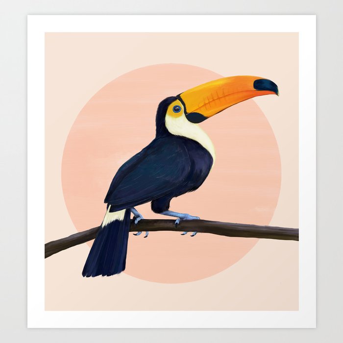 tropical toucan Art Print