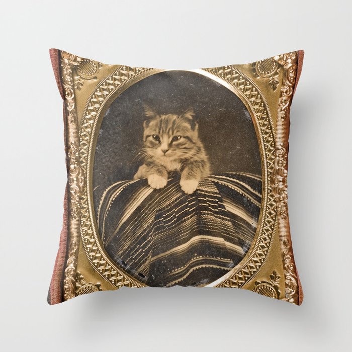Cat in picture frame, cute, pretty, beautiful, cuddly kitten, loveable.  Throw Pillow